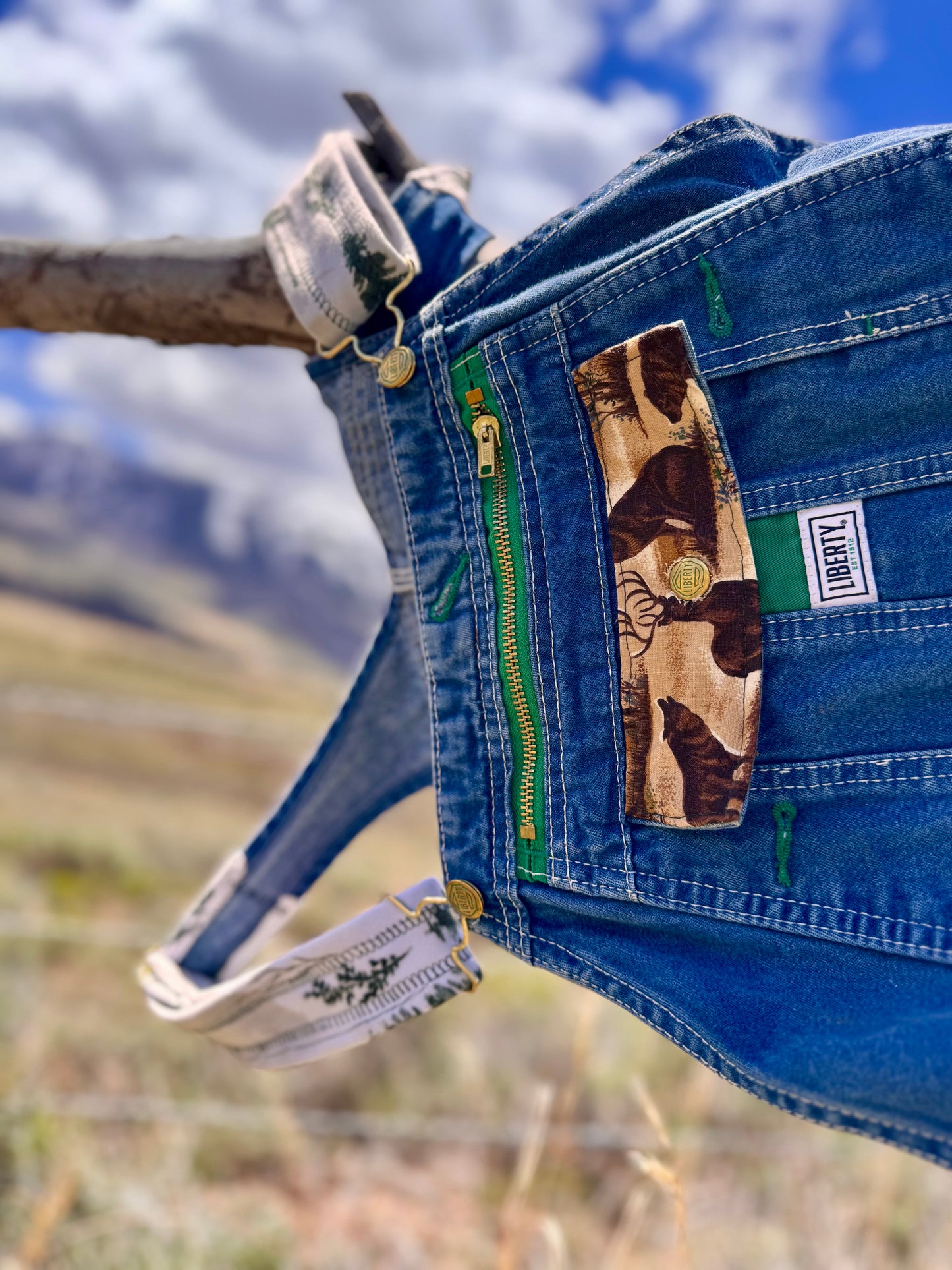 Upcycled Wildlife Ranger Carpenter Liberty Overalls (36x32)
