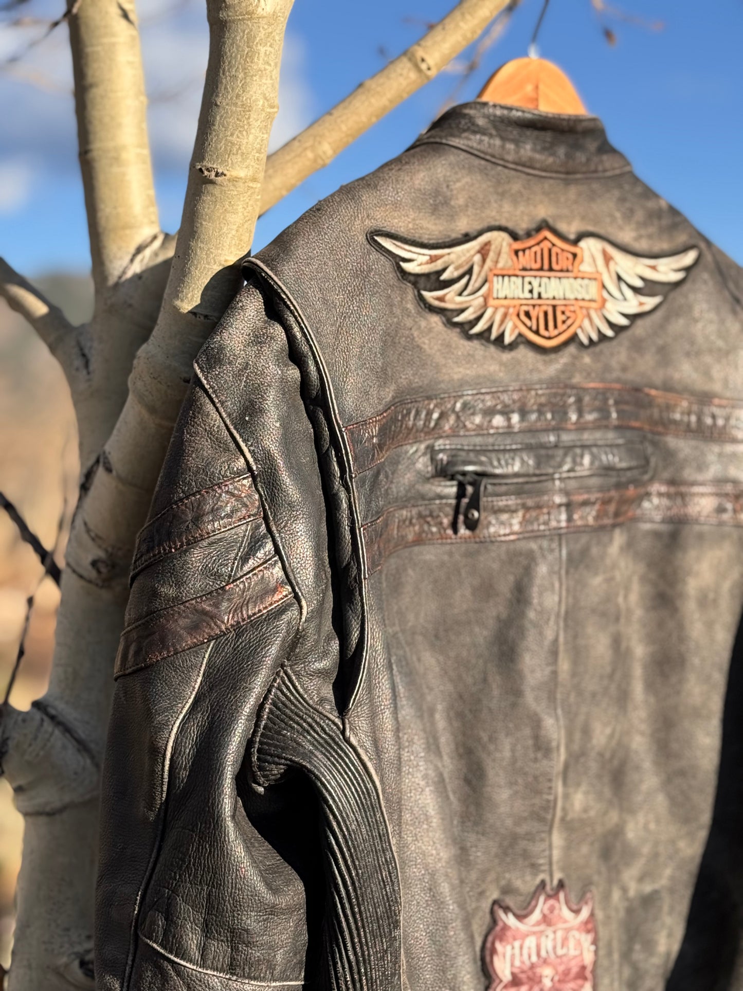 Vintage Harley-Davidson Men’s Triple Vent System Winged Back Distressed Leather Jacket - XL