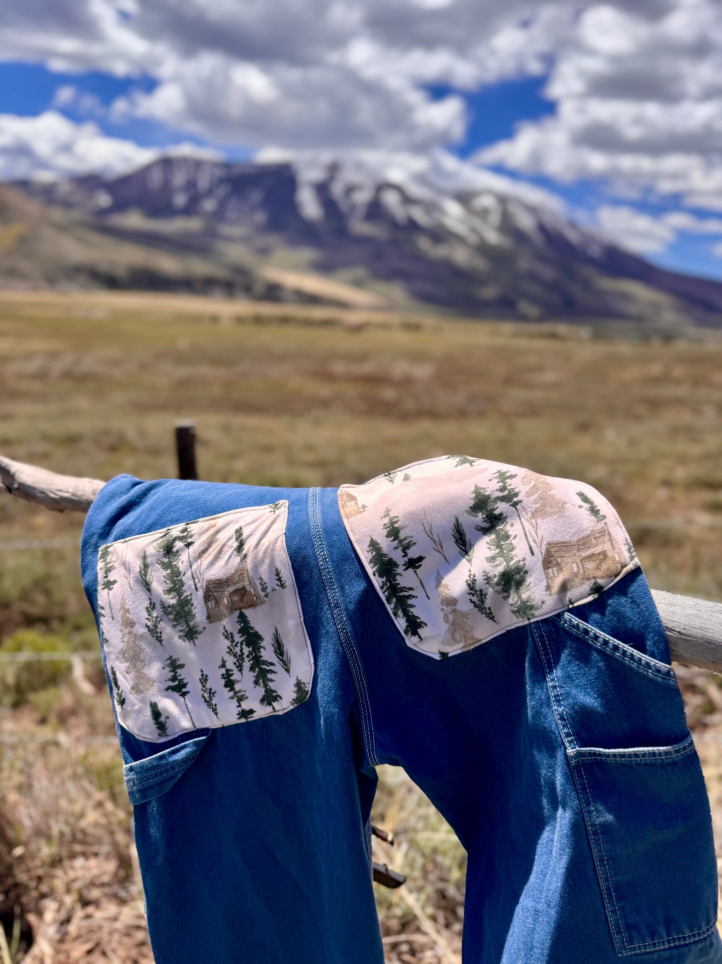 Upcycled Wildlife Ranger Carpenter Liberty Overalls (36x32)