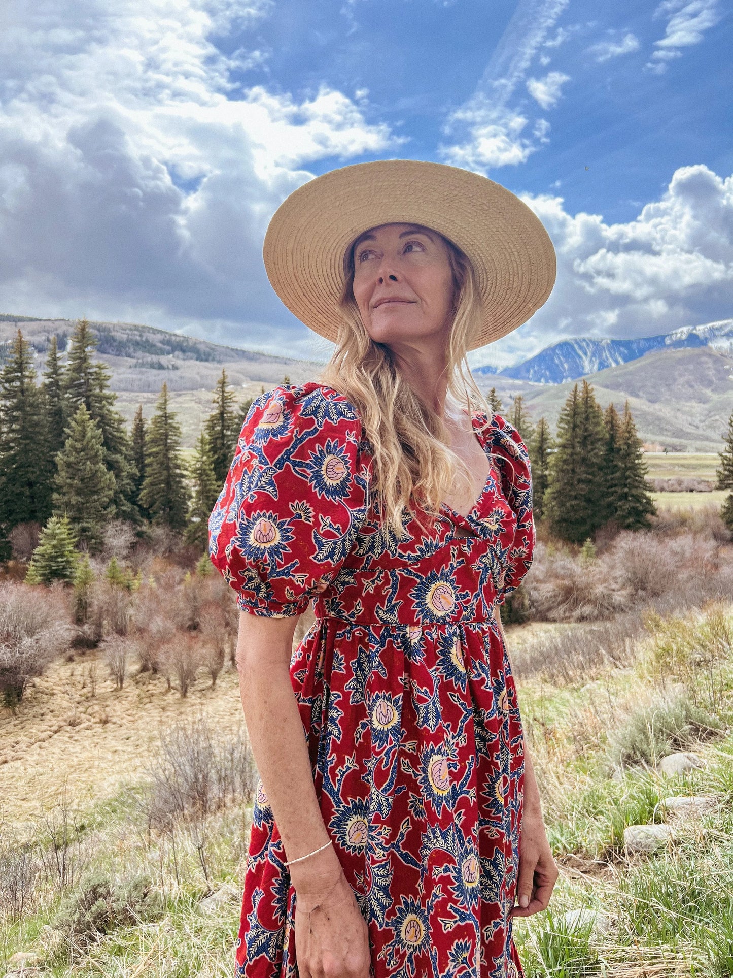 House of Harlow 1960 Red Floral Cotton Dress